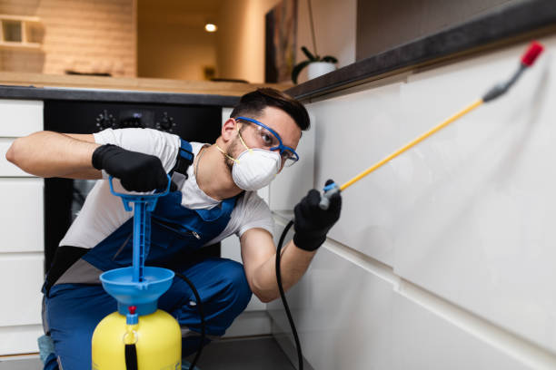 Best Local Pest Control Services  in Sag Harbor, NY