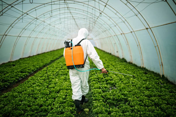 Best Residential Pest Control  in Sag Harbor, NY