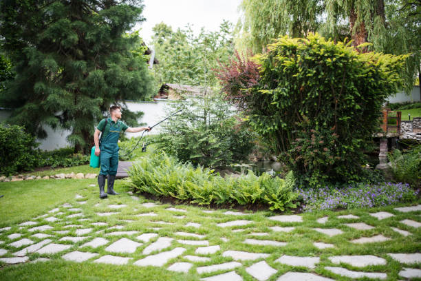 Best Bird Control  in Sag Harbor, NY